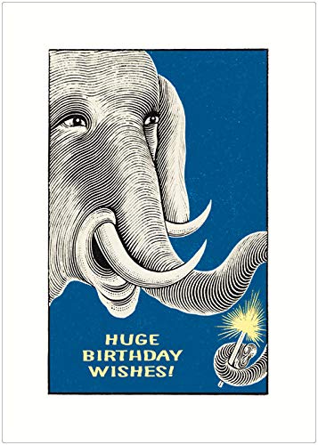 Lucca Paperworks Huge Elephant Birthday Card, 5 X 7 Set of 4