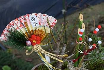 希少時代手作り松皮大きい盆栽鉢木肌作り植木鉢大寄せ植え鉢30cmゴツゴツ南蛮鉢 希少時代手作り松皮大きい盆栽鉢木肌作り植木鉢大寄せ植え鉢30cm