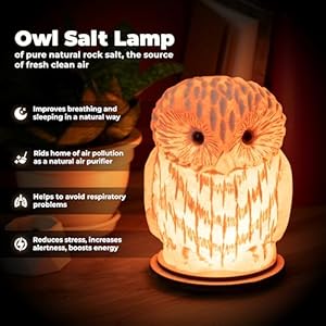 Owl crystal salt lamp h 67 44 lbs pure natural rock saltunique night light lamp 1 light bulb as a gift wooden present box holiday gift ideas cool room decor  urban country home decor