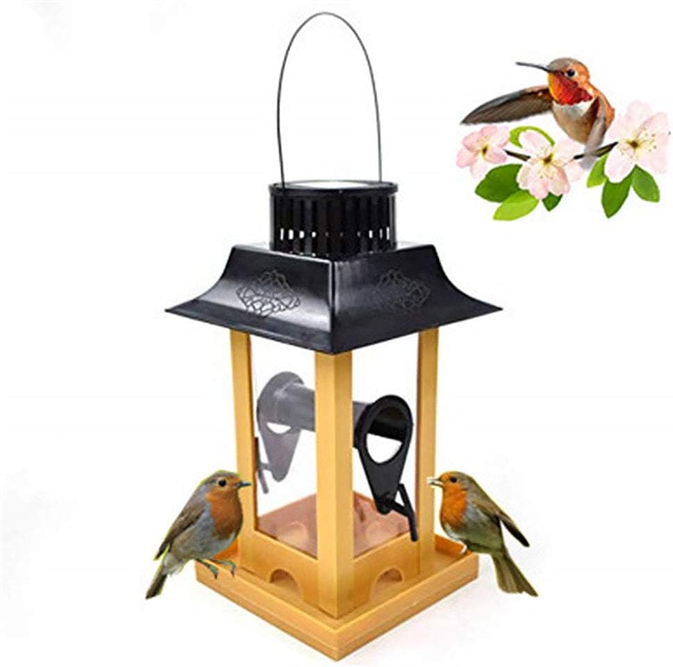 automatic wild bird feeder