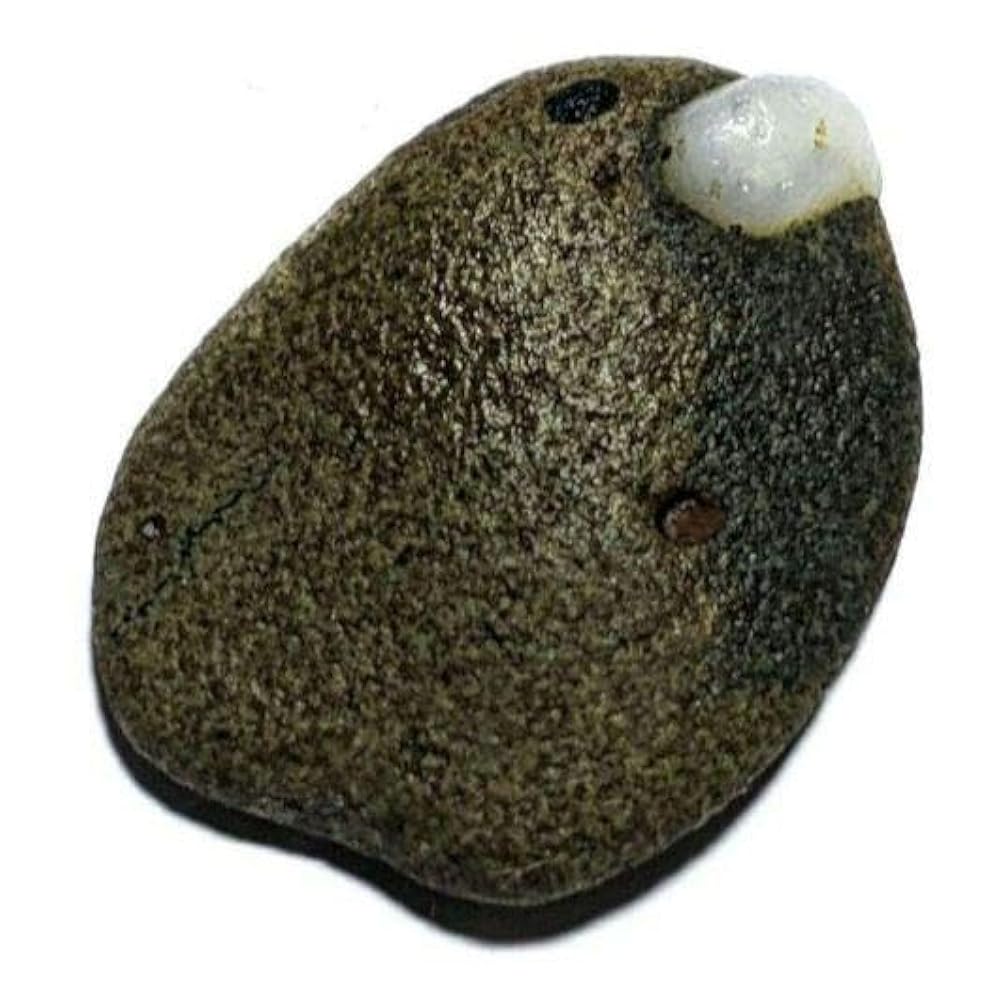 青森県産 今別町産 舎利母石 原石 安山岩 置き石 観賞石 奇石 約2.8kg