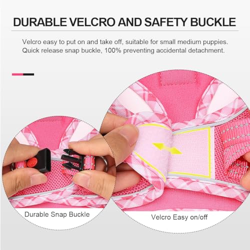 Mercano Soft Mesh Dog Harness and Leash Set, No-Chock Step-in Reflective Breathable Lightweight Easy Walk Vest Harnesses with Safety Buckle for Small Dogs, Cats (XXS, Fuchsia)