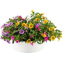 Tree Nest Hanging Planter 12 Inch Outdoor Hanging Flower Pot Holder for Plants Indoor Plant Basket Recyclable Plastic Hanger with Hook and Drain Hole Round WhiteNO Flower