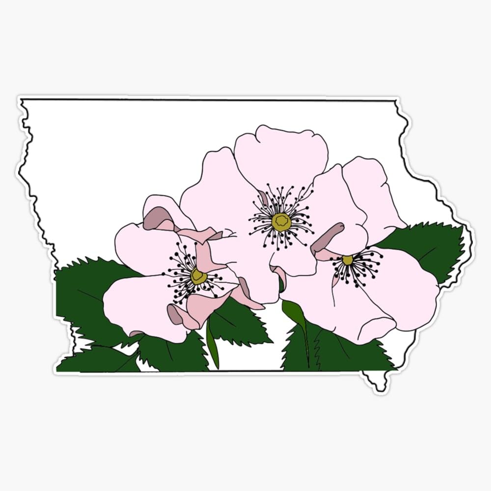 Iowa State Flower Bumper Sticker Vinyl Decal 5"