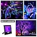 Black Light,LIGHTIMETUNNEL 80W UV LED Black Light Flood Light with IP66 Waterproof for Blacklight Party, Glow in Dark Party, DJ Disco Night Club, Body Paint, Fluorescent Poster