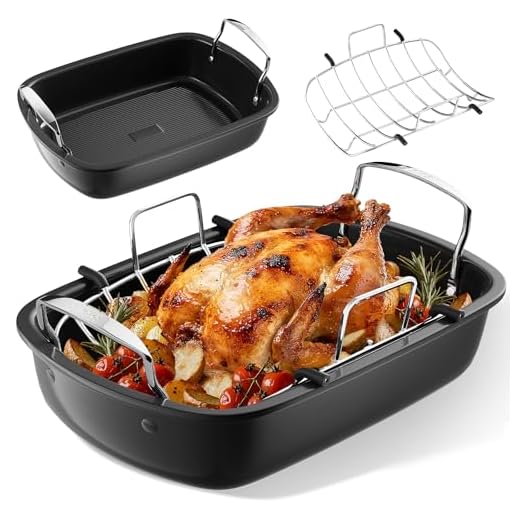 Slow Slog Nonstick Roasting Pan with Rack