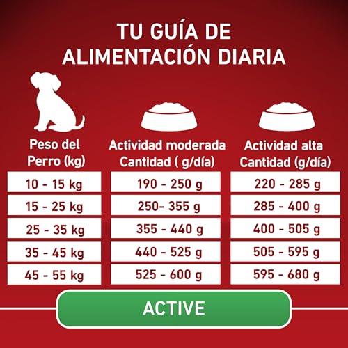 PURINA ONE Medium/Maxi  10 kg Active | Trockenfutter reich an Huhn für Erwachsene Hunde | 7 kg Beutel