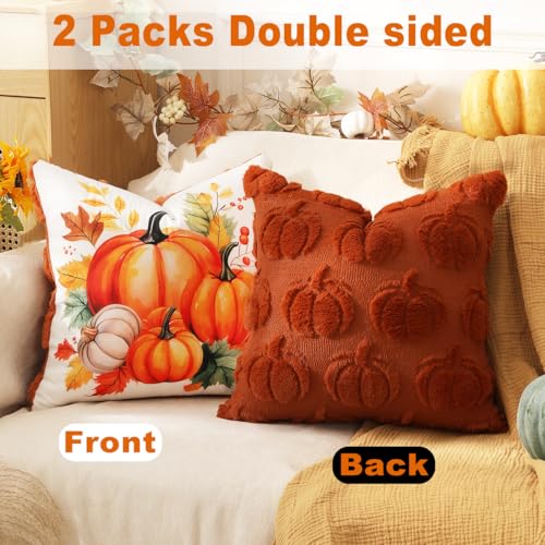 TOYPOPOR Fall Decorations, 2 Packs Double Sided Throw Pillow Covers, Rust Red Soft Faux Fur Pumpkin Pillow Cases Autumn Harvest Thanksgiving Indoor Outdoor Home Decor for Living Room Porch Couch 16x16