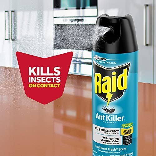 Miniatura 6 de Raid Ant Killer Spray Pine Forest, 17.5 onzas (paquete de 4)