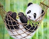 Pracht Creatives Hobby Diamond Painting Set, Bild mit Motiv Panda und Zubehör, Größe ca. 35 x 25 cm, Bastelset zum Malen mit Glitzersteinchen für Kinder ab 5 Jahren