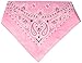 CAROLINA Have, A, Hank Paisley Bandannas, 22-Inch by 22-Inch, Light Pink