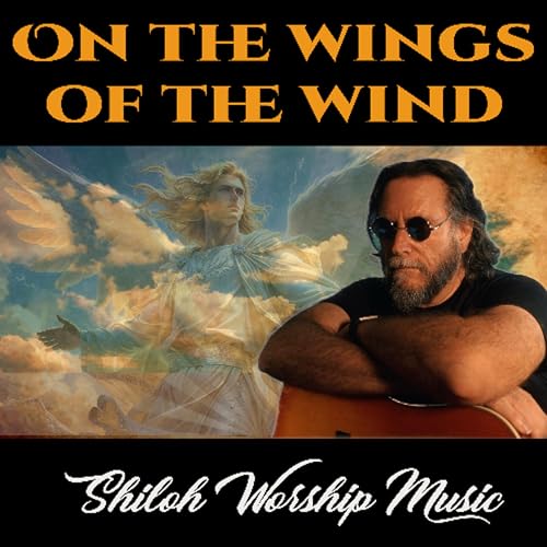 Page de couverture de On The Wings Of The Wind