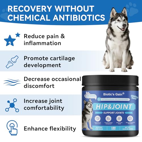 Biotic’s Gain Hip & Joint Soft Chews for Dogs | Glucosamine, MSM, Chondroitin & Turmeric | Hemp Seed Oil for Mobility | Tasty Chews for Senior & Active Dogs (120, Hip & Joint Care) - Image 6