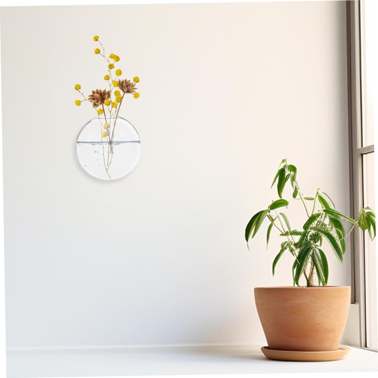 Gatuida Lot de 6 Vases Muraux Hydroponiques Transparents en Verre Compact, Support à Plantes Suspendu pour Décoration Intérieure, Jardin, Bureau et Centres de Table