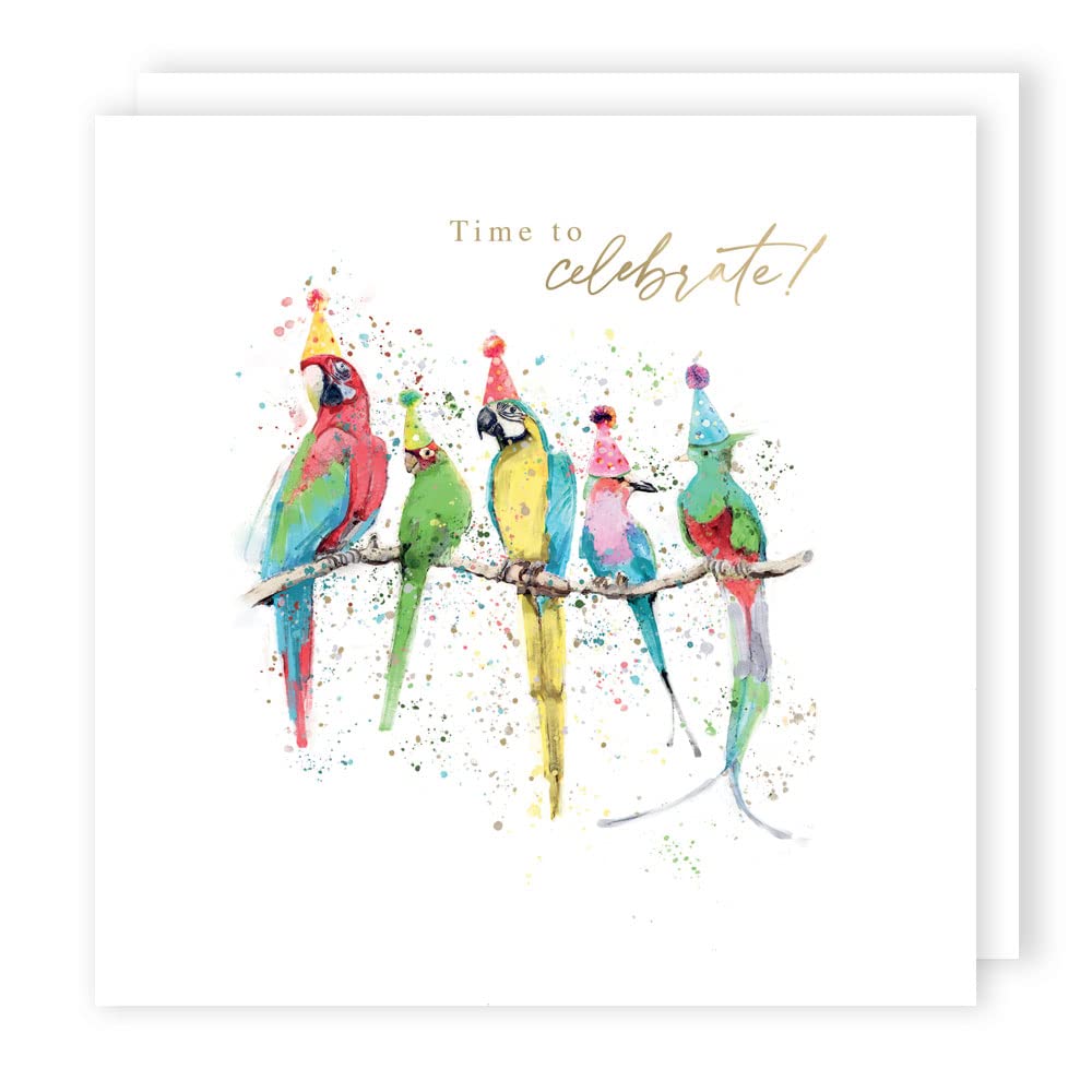 Second Nature Animal Trail 'Parrots With Hats' Time to celebrate! Birthday Greeting Card, Multi colour (ATR005)