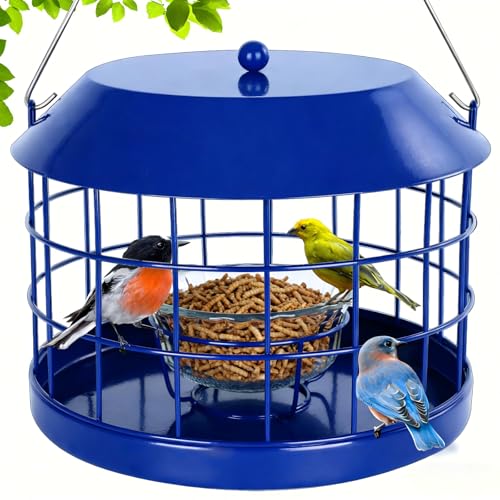 Gbekery Caged Bluebird Feeder for Mealworms with Glass Bowl, Squirrel Proof Bird Feeder for Small Birds Only, Detachable Hook, Large Space, Outdoors Weatherproof, Metal, Blue