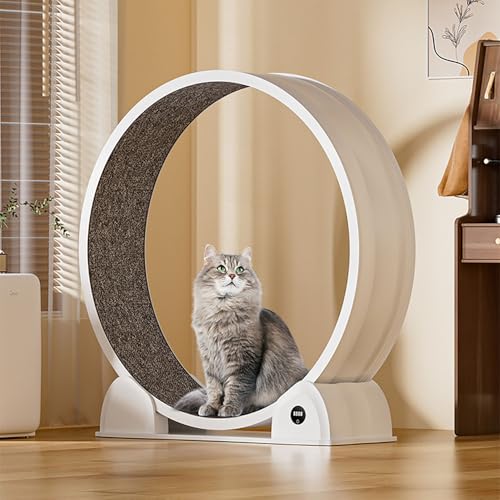 Smart ABS Tapis de course pour chat – Roue de course silencieuse avec affichage numérique pour animal domestique d'intérieur (35 dB fonctionnement silencieux) (noir, modèle normal)