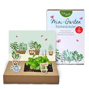 Tool & Tree Mini-Garten Küchenkräuter Anzuchtset Basilikum