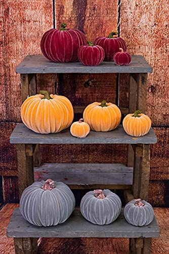 Boston International Decorative Tabletop Velvet Pumpkin, 4.5 x 3.5-Inches, Orange