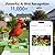 Smart Bird Feeder with Camera, AI Identify & Auto Capture, 2K HD Live Video Bird House with Camera, Instant Arrival Alerts, Cloud Storage Videos, Ideal Gift for Bird Lovers