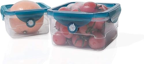 Handy Gourmet Flexi-Top - Recipientes reutilizables, sin BPA, cuadrados, juego de 2