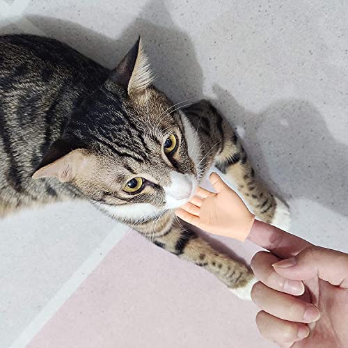 Binnan 10 Pezzi Mani Minuscole,Manine Piccole Tiny...