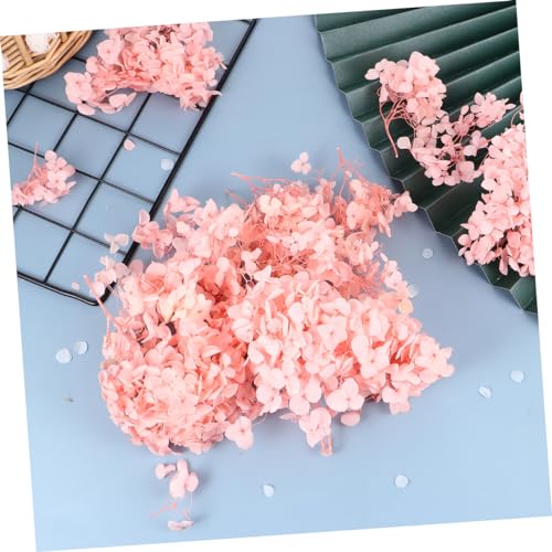 Hojas de Hortensia Secas Rosadas Naturales para Decoración miniatura 5