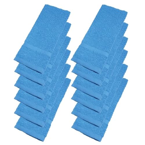 Y Ɩp J[ ڂ 100 30×40 nh^I ڂ^I H | ڂ₷ F (u[, 12)