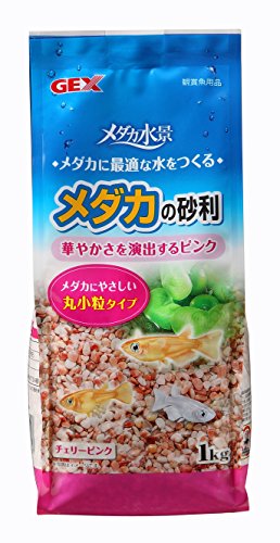 水槽を明るくするカラフルな白やピンクの底砂7選 きれいに保つコツとは トロピカ 水槽を明るくするカラフルな白やピンクの底砂7選 きれいに保つコツとは トロピカ