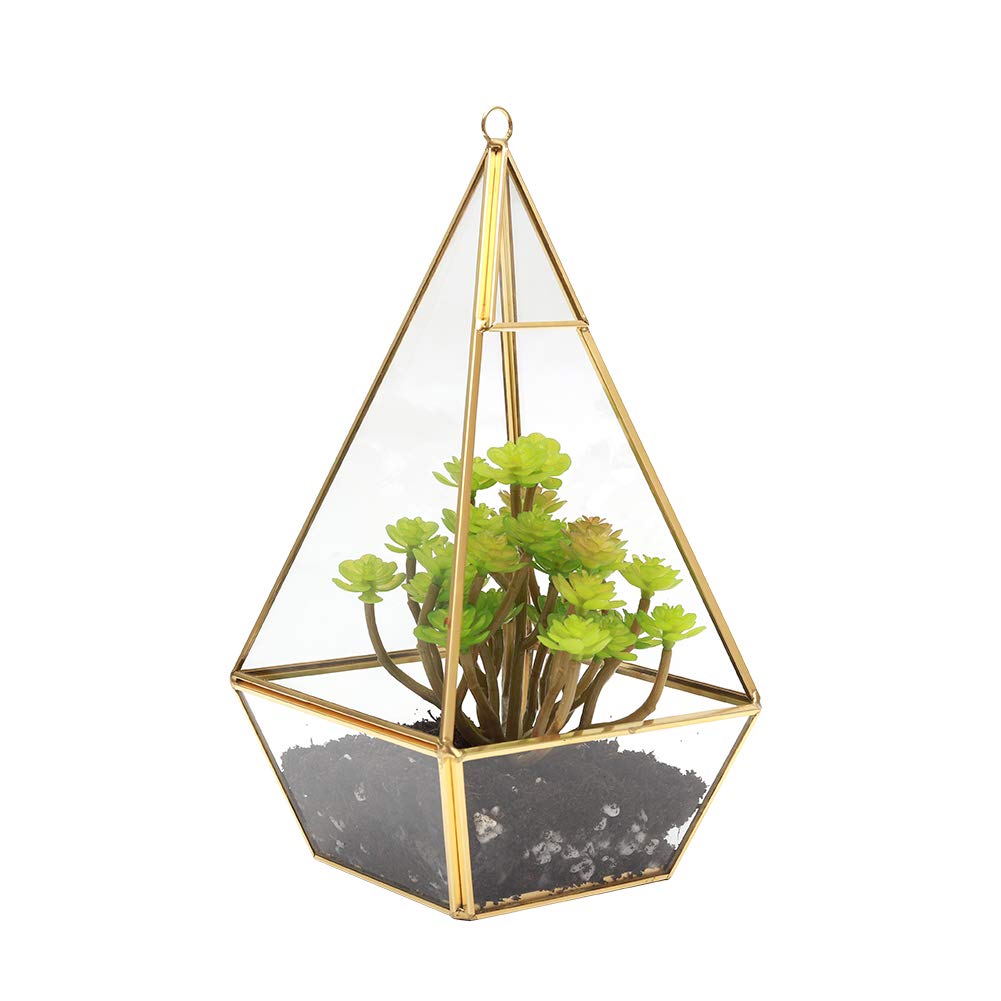 Buy The Fellie Glass Plant Box Modern DIY Wall Mount Hanging Pyramid