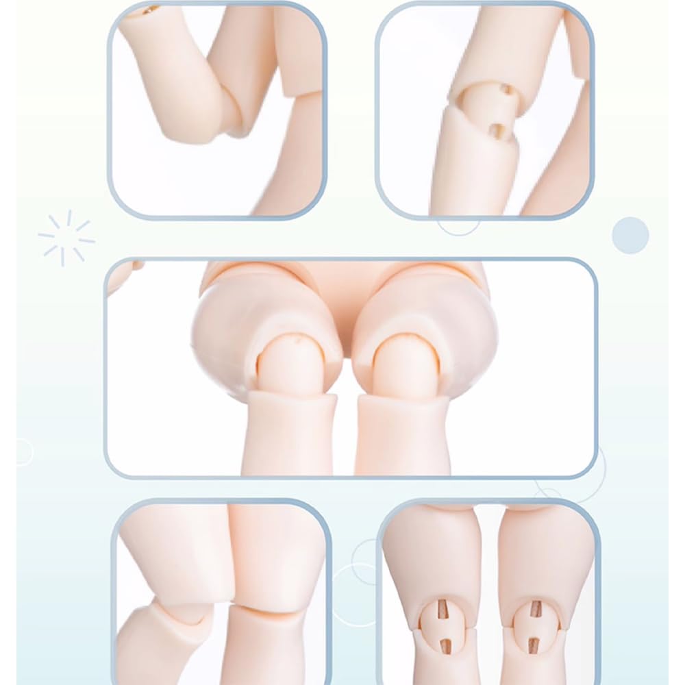 Amazon.co.jp: リロロ 夏日の島シリーズ 1セット 6個ボックス 高約16cm