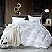 Luxurious Full/Queen Size Siberian Goose Down Comforter, Duvet Insert, 1200 Thread Count 100% Egyptian Cotton, 750+ Fill Power, 60 oz Fill Weight, 1200TC, White Solid