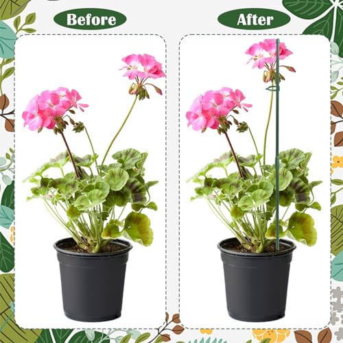 Niuoppy 30pcs Plant Support Sticks, 30cm Garden Flower Sticks with Clips, Vine support Fixing, Orchid Sticks and Clips - Image 3