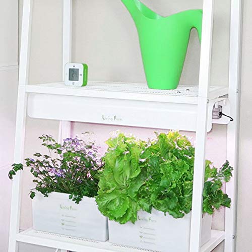 Amazon｜リビングファーム イケア IKEAで水耕栽培L-2 植物栽培用