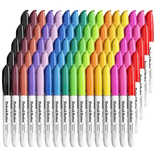 Dabo&Shobo 80 Pack Permanent Markers Assorted Colors Fine Point 16 Colors Works on Plastic Wood Stone Metal and Glass for Doodling Coloring