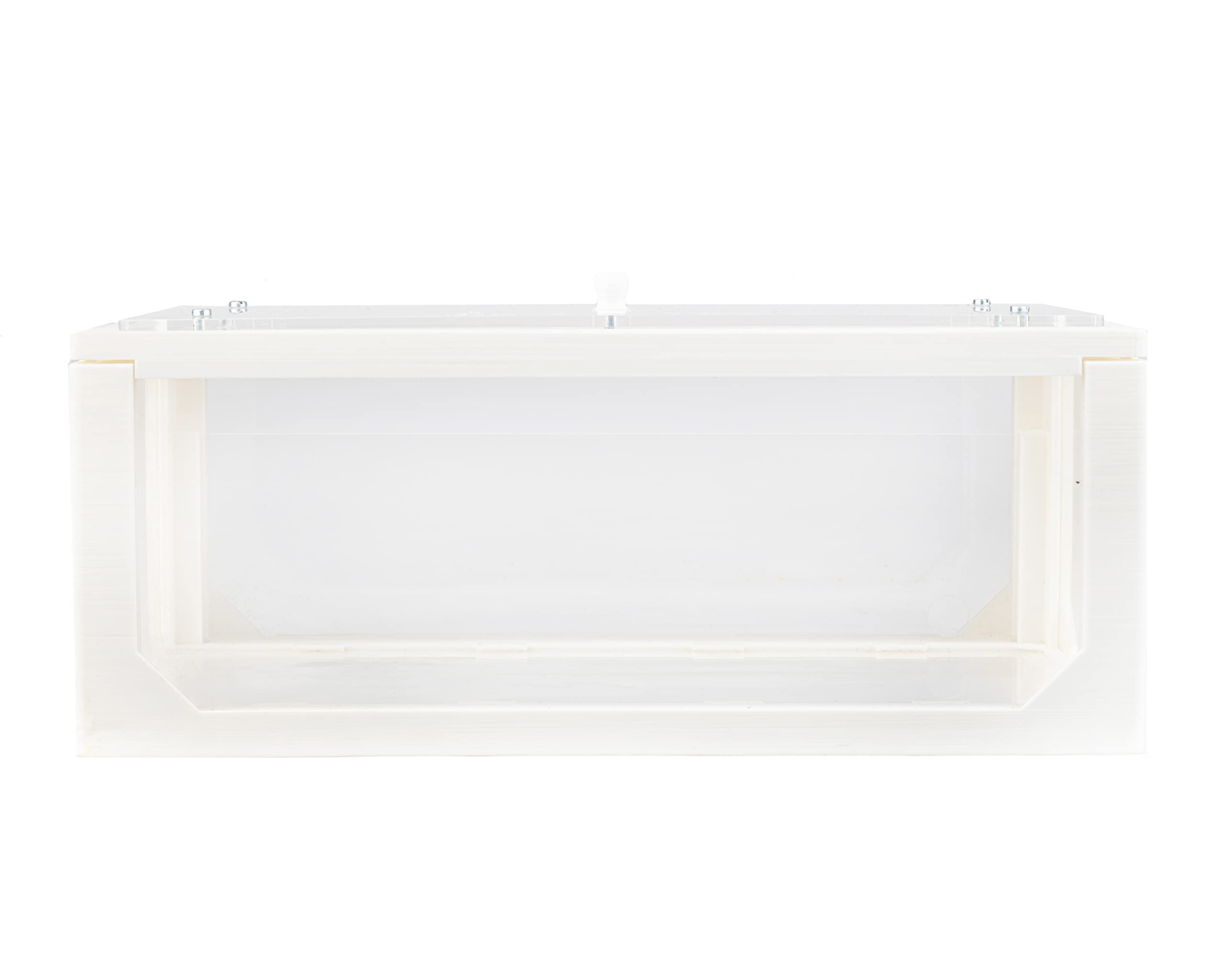 AntHouse - Fattoria di formiche di sabbia naturale | Starter Set 3D Bianco Grande 30x15x10 cm | Compreso il formicaio
