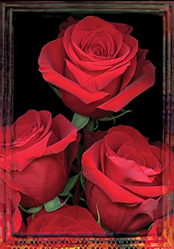 Drapeau Fresh Cut Toland Home Garden en polyester 28x40 pouces pour décoration