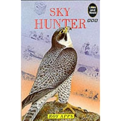 Skyhunter