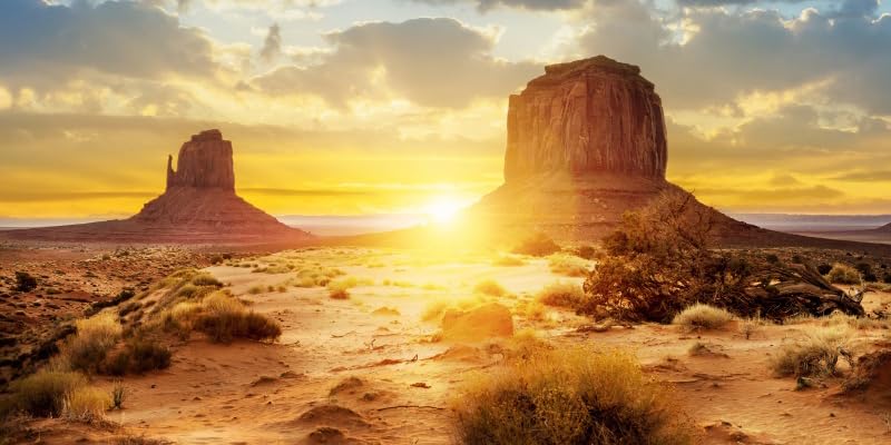 Pnylzzyxh Custom Aquarium Background Photo Backdrop Personalized Aquarium Backdrop Upload Picture Reptile Habitat Hideout Underwater Fish Tank Accessories 48x18 inch