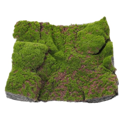 DECORNIJIA ?^ۑ OptFCNX}bg pŐJ[ybg ؒf\ȐlHRP K[f oRj[ peBIprfR