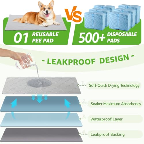 Image of Dog Grass Pad with Tray - 20''x16'' Litter Box for Balcony Apartment | 2 Pack Replacement Artificial Grass, Indoor Outdoor Potty Training Turf, Washable Reusable Pee Pad for Dogs, Easy to Clean