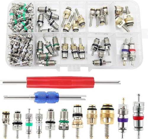 VOBOR Obus Aire Acondicionado, 102Pcs A/C Valvula R12 R134A Aire Acondicionado Coche, Válvula de Neumático Núcleos de Vástago Herramienta Remover Surtido Kit