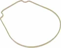 Amazon.com: Pentair 357102 Almond Seal plate Gasket