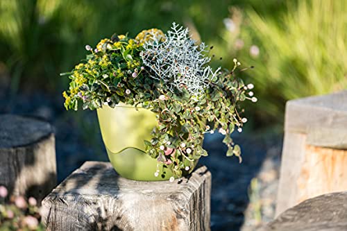 Mareta Blumenampel zum Aufhängen, 30 cm - Selbstbewässerungstopf mit Kette - Blumentopf aus Kunststoff für Innen- und Außenbereich, Grün – Ansicht 2