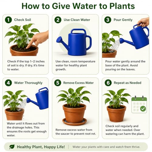Image of Garden Watering Can, Blue Plastic Watering Can - 5 Litre, Plant Watering Sprinkler Can for Home Gardeners