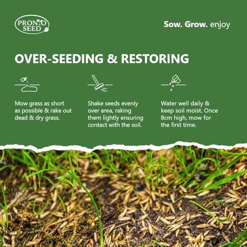 Pronto Seed Premium Grass Seed 1.4 kg - Fast Growing, Hard-Wearing - Covers 84m² for Lawns & Overseeding - DEFRA Approved & Tailored for UK Climate (1.4kg)