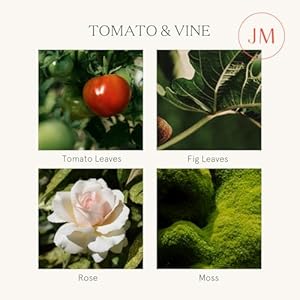 LA JOLIE MUSE Tomato & Vine Scented Candle, Luxury Candles Gifts for Women, Spring Candles for Home Scented, Natural Soy Wax Candle, 6 oz 40 Hours Burn LA JOLIE MUSE Tomato Vine Scented Candle Luxury Candles Gifts for Women Spring Candles for Home Scented Natural Soy Wax Candle 6 oz 40 Hours Burn