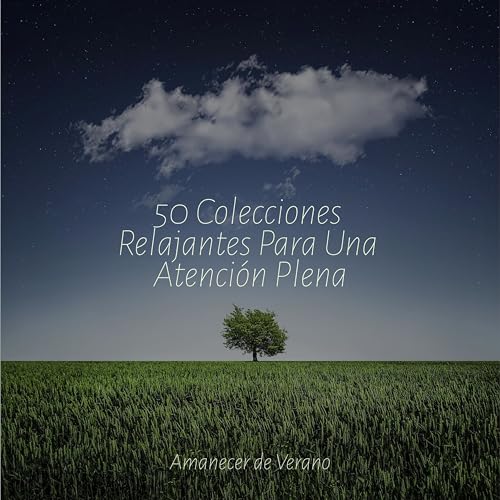 El atrapador de sueños de Serenity