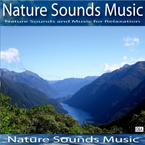 Amazon Rainforest by Nature Sounds Music on Amazon Music Amazon.co.uk