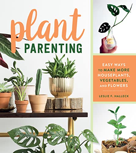 fan plant - Plant Parenting: Easy Ways to Make More Houseplants, Vegetables, and Flowers